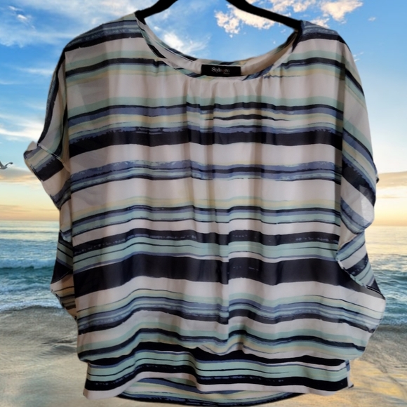 Style and Company Striped Blouse